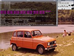 [Captura de Metacity]