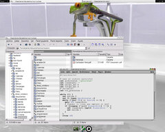 [Captura de MonkeyWM]