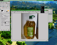[Captura de MonkeyWM]