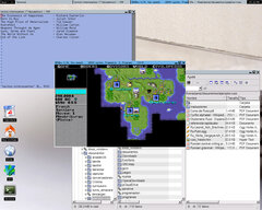 [Captura de MonkeyWM]