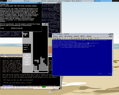 [Captura de MonkeyWM]