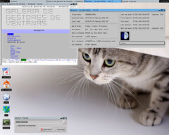 [Captura de MonkeyWM]