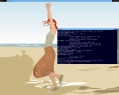 [Captura de MonkeyWM]