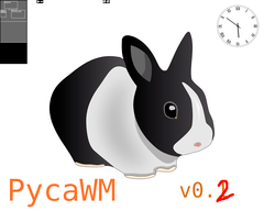 Captura de PycaWM